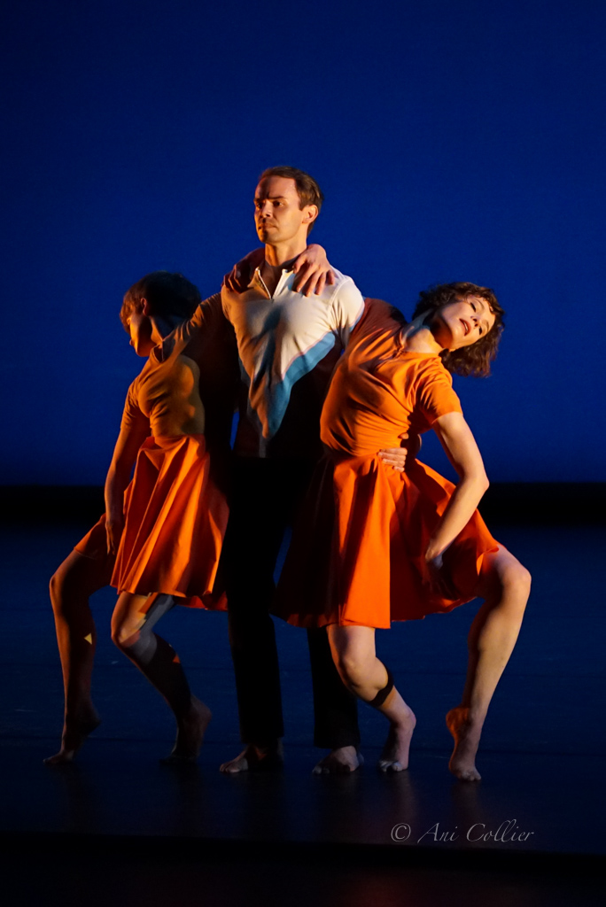 Crosswalk - BAM 2015