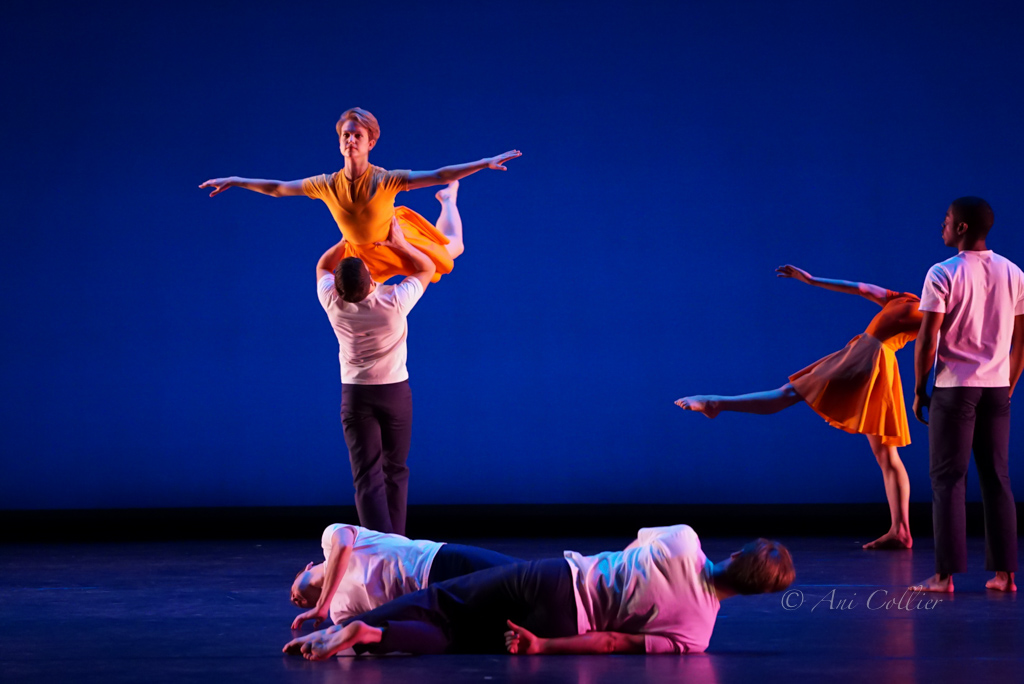 Crosswalk - BAM 2015