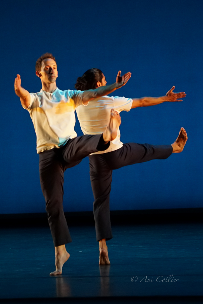 Crosswalk - BAM 2015