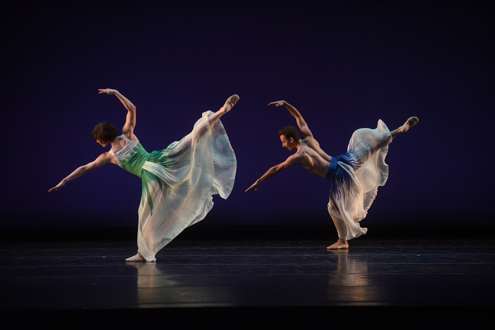 Pacific Fairfax 2015 Hilary Schwab 118 web