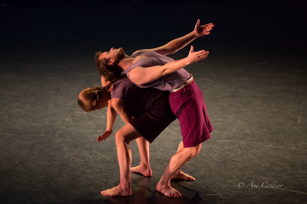 Words - Fall for Dance 2014