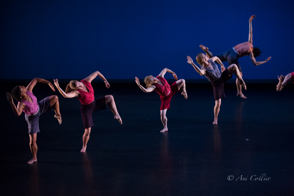 Words New York 2014 Ani Collier 7519 lo res