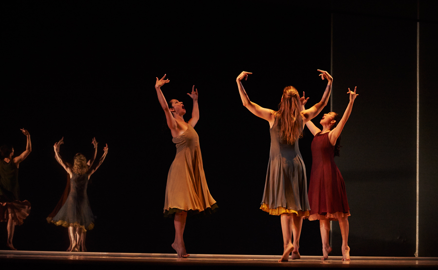 L Allegro David Leyes 1