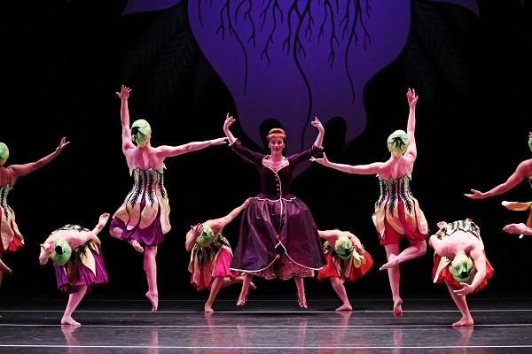 The Hard Nut - Flowers