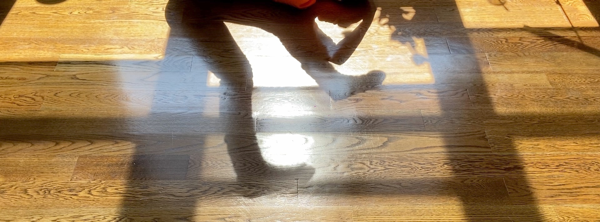 header Sunshine - STILL 4