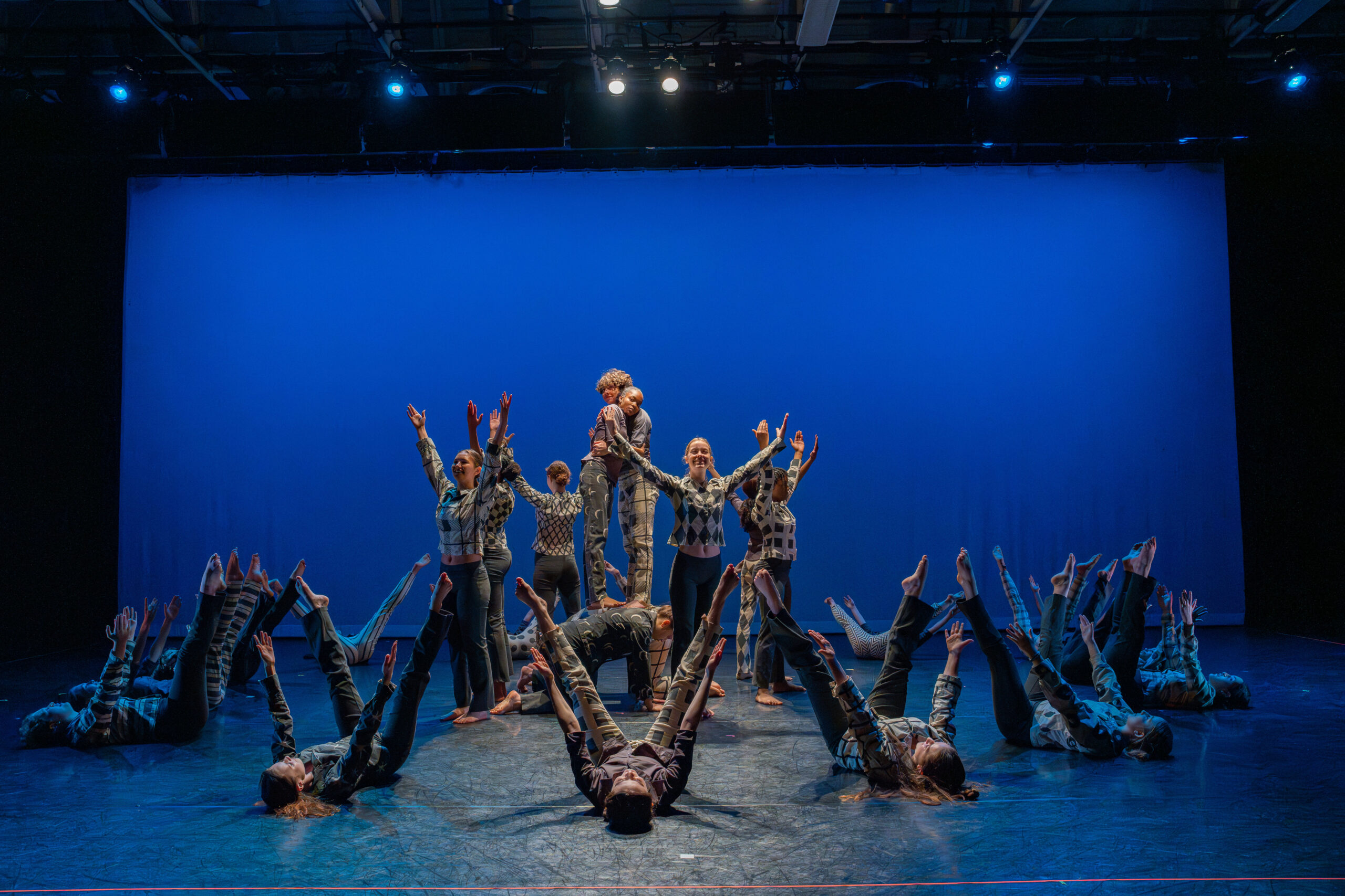 Performances / Showings